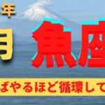 魚座♓️3月占い🔮降りてきたメッセージ⭐️カードリーディング