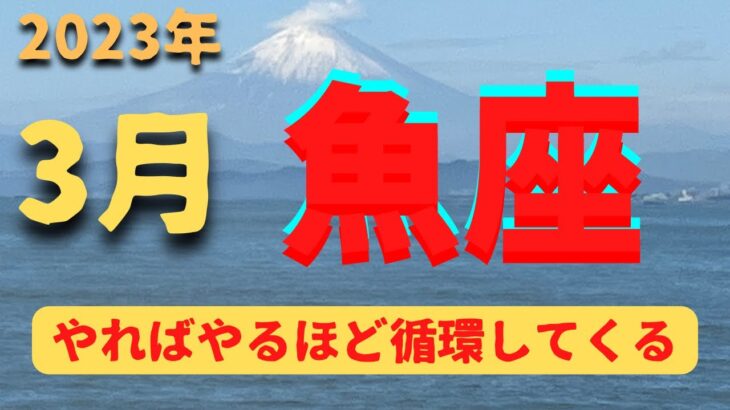 魚座♓️3月占い🔮降りてきたメッセージ⭐️カードリーディング