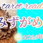 【みずがめ座】♒️ 2月タロットリーディング🌕　幸運を手にする時‼︎希望の光がハッキリと見えてくる‼︎