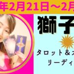 獅子座さん♌️暴れ馬が暴走中！あちこちに散らばる情熱と上手く付き合っていく！カオスの中でこそ見つかる芯♡ #獅子座 #しし座 #12星座別 #タロット #タロットリーディング #タロット占い