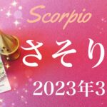 【さそり座】2023年3月♏️強い追い風！成就のとき、これまでとは違う春、ずっと考えていた新しい１ページをめくるタイミング