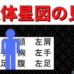 【算命学占い】人体星図の見方！表の顔や裏の顔、仕事やプライベートでの違いがわかる！