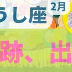 【おうし座2月】見たことのない奇跡が、でた　このメッセージを受け取って❗️❗️❗️牡牛座 カードリーディング