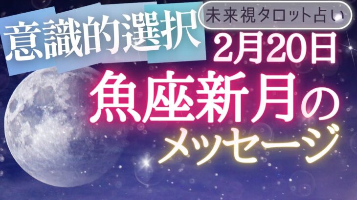 【魚座】♓うお座✨新月🌙✨からのメッセージ🌟🌟仕事とお金・人間関係［未来視タロット占い］