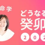 【算命学】どうなる？2023癸卯年🐇癸卯ってどんな意味？