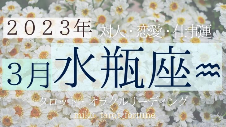 【水瓶座♒️】2023年3月のテーマと運勢🎎対人・恋愛・仕事運🏃タロット・オラクルリーディング💫