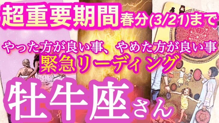 牡牛座さん【金運上昇の秘訣！】春分までの超重要期間でやった方がよい事、やめた方がよい事　さくっとリーディング