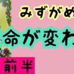 【2月前半の運勢】水瓶座　運命が変わる時！超細密✨怖いほど当たるかも知れない😇#星座別#タロットリーディング#水瓶座