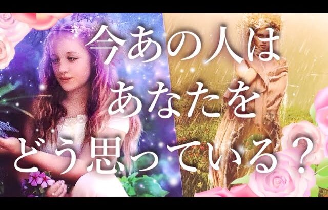 今あの人はあなたをどう思ってる？🥺占い💖恋愛・片思い・復縁・好きな人・タロット・オラクルカード