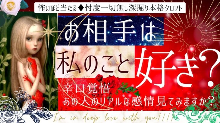 私のこと好き？❤️恋の発展ありますか？【有料鑑定級🌹辛口覚悟】本格鑑定、忖度一切無し