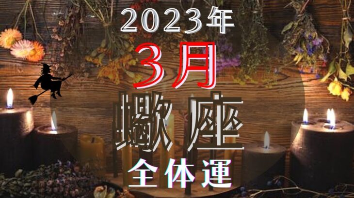 蠍座3月【全体運】⭐️理想が現実化する1ヶ月の幕開け📣あなたの夢見る世界はどんな場所？🌈