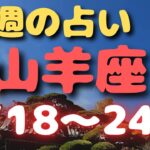 山羊座♑️今週占い⭐️自分が喜ぶことをしてね✨✨