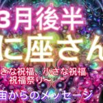 かに座⭐️3月後半⭐️“  笑いながら全てを選択〜”⭐️宇宙からのメッセージ ⭐️シリアン・スターシード・タロット⭐️Cancer ♋️