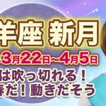 2023年3月牡羊座の新月　次の満月までの過ごし方のヒント