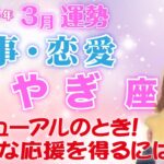 【やぎ座】2023年3月🍀全体運・起こりそうなこと・アドバイス🍀