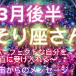 さそり座⭐️3月後半⭐️“  本当の高い周波数の波動に戻ります〜”⭐️宇宙からのメッセージ ⭐️シリアン・スターシード・タロット⭐️Scorpion♏️