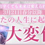 春分🌸安心して下さい。いよいよ人生が大変化を迎える時✨あなたに最高の未来が待っているようです。個人鑑定級深掘りリーディング［ルノルマンタロットオラクルカード］