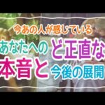 【強すぎる想いに注意⚠️】今あの人が感じているあなたへのど正直な本音と今後の展開💞