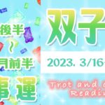 【タロット占い　ふたご座　3月下旬～4月上旬】仕事は今後どうなる？年末の未来や売上・転職・人間関係を占ってみた【双子座】【Gemini】【タロットオラクルリーディング】