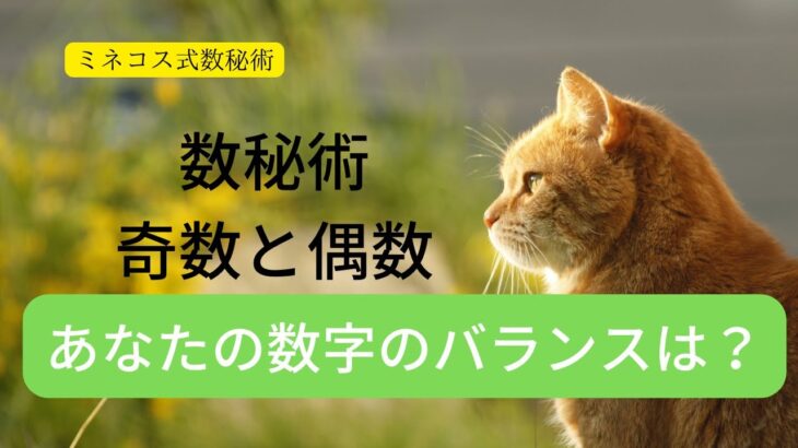 【ミネコス式数秘術３１】数秘術　奇数と偶数　あなたの数字のバランスは？