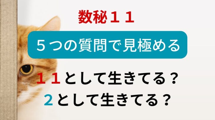 【ミネコス式数秘術32】数秘１１　５つの質問で見極める　１１として生きてる？　２として生きてる？