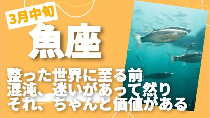 3月中旬魚座♓秩序の前の混沌にちゃんと価値がある！混乱することは決して無駄じゃない！