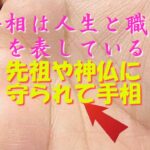 手相は人生と職業を表している『先祖や神仏に守られて手相』#占い、#手相、#占い手相Vlogs