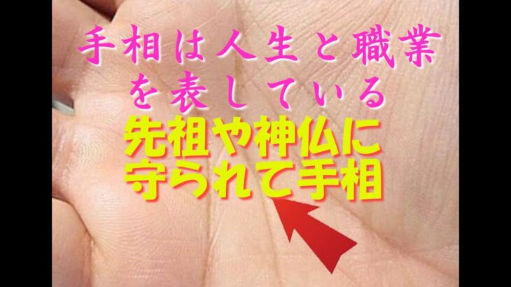 手相は人生と職業を表している『先祖や神仏に守られて手相』#占い、#手相、#占い手相Vlogs