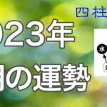 2023年3月の全体運　【四柱推命・占い・運勢】