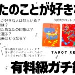 【タロット占い】個人鑑定超えのめちゃめちゃ長い選択肢あります🏃‍♀️あなたのことが好きな人・その人から見たあなたの印象・お相手との未来など深掘りリーディング🦄✨✨あなたのことが好きな人は何人いますか?