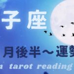 【♊️双子座】3月後半の reading                 やっと抜けて行く〜試練からの解放🌈楽しい人生の始まり始まり〜✨