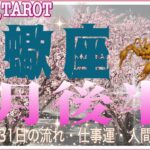 少し楽になってくるかも☕蠍座♏さん【3月後半の運勢☆16日〜31日の流れ・仕事運・人間関係】#タロット占い #直感リーディング #2023