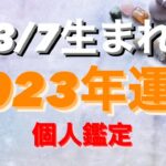 うお座✨3/7生まれ2023年運勢🌈#tarot #tarotreading #タロット占いうお座 #タロット占い魚座 #タロット恋愛