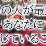 【⚠️辛口あり&忖度ナシ】恋愛タロット占い✨相手の気持ち🌸片思い複雑恋愛カードリーディング🧚🏻‍♀️個人鑑定級占い