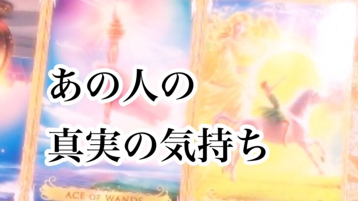 あの人の真実の気持ち【恋愛💖タロット】