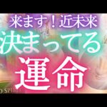 決まってる運命☀️近未来★貴方に知ってほしいこと／見られてる⁉タロットカードで占う貴方に起きること✨選択式オラクル占い ❤️人生 運命 仕事運 恋愛運 タロット風の時代 ふなチャンネル 風菜チャンネル