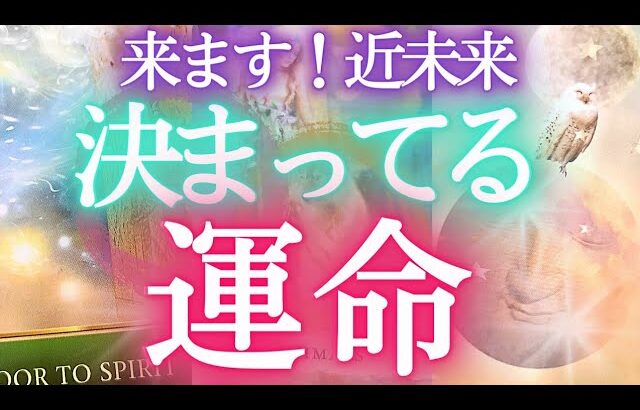 決まってる運命☀️近未来★貴方に知ってほしいこと／見られてる⁉タロットカードで占う貴方に起きること✨選択式オラクル占い ❤️人生 運命 仕事運 恋愛運 タロット風の時代 ふなチャンネル 風菜チャンネル