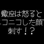 【しいたけ占い】獅子座×さそり座の相性