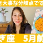 やぎ座♑️5月前半🔮今こそ大事な分岐点です！！自由になり成長と学びの旅へ進むとき！