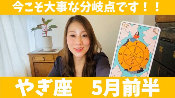 やぎ座♑️5月前半🔮今こそ大事な分岐点です！！自由になり成長と学びの旅へ進むとき！