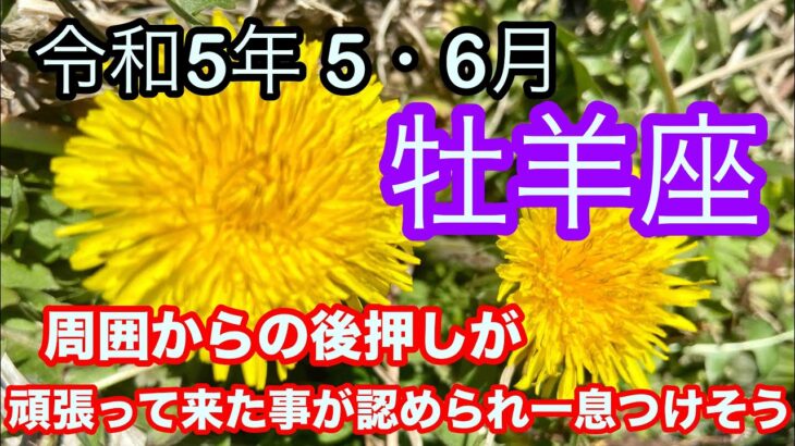 【♈️牡羊座・おひつじ座・2023年・令和5年・５月〜6月運勢】🔮タロット占い・近未来予想⚠️概要欄ご覧下さいませ❤️