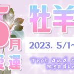 【タロット占い　おひつじ座　2023年5月】今月のあなたの恋愛運　お相手の気持ち　片思い　両思い　恋の行方　恋人　結婚　過去・現在・未来の恋占い【牡羊座】【Aries】【タロットオラクルリーディング】