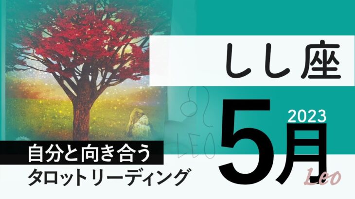 【しし座】完成から次へ★2023年5月★タロットリーディング★【音声なし】【獅子座】