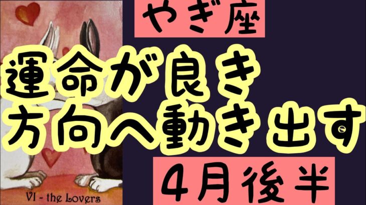 【4月後半の運勢】やぎ座　運命の輪が良き方向動き出す　超細密✨怖いほど当たるかも知れない😇#星座別#タロットリーディング#山羊座