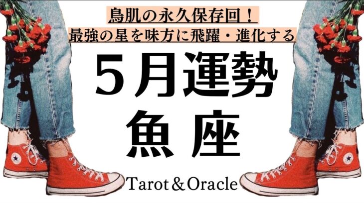 鳥肌の永久保存回！！すべての魚座に観て欲しい５月全体運勢♓️仕事・恋愛・対人・周囲からの評価[個人鑑定級タロット]