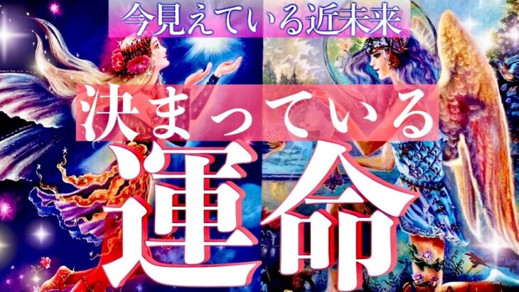 全体運＆恋愛運💗今見えている未来、決まっている運命🌈タロット＆オラクルカードリーディング