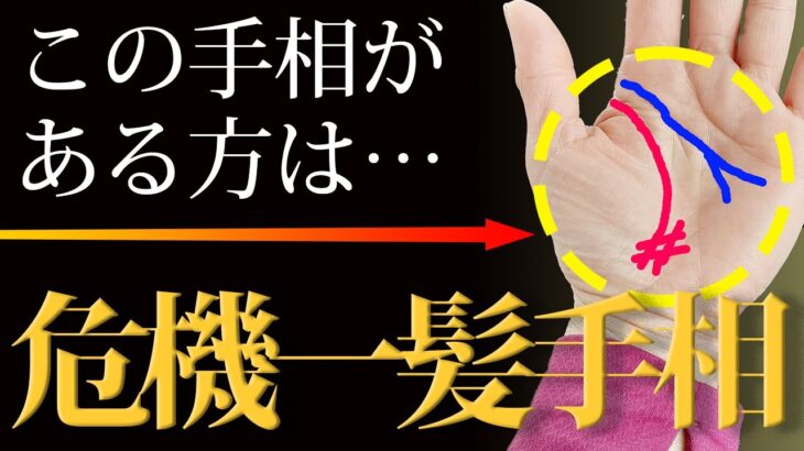 【手相占い】九死に一生を得る危機一髪の手相はこちら【手相鑑定 vol.212】