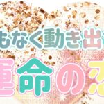 ✨💖✨【恋愛・結婚】まもなく動き出す運命の恋✨💖✨選択肢○の方で素晴らしいメッセージが届きました✨🌹✨タロット・占い・スピリチュアルカードリーディング