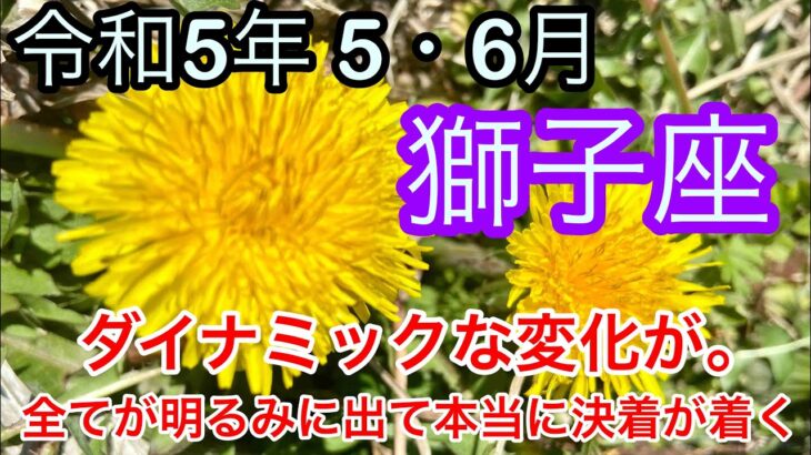 【♌️獅子座・しし座・2023年・令和5年・５月〜6月運勢】🔮タロット占い・近未来予想⚠️概要欄ご覧下さいませ❤️