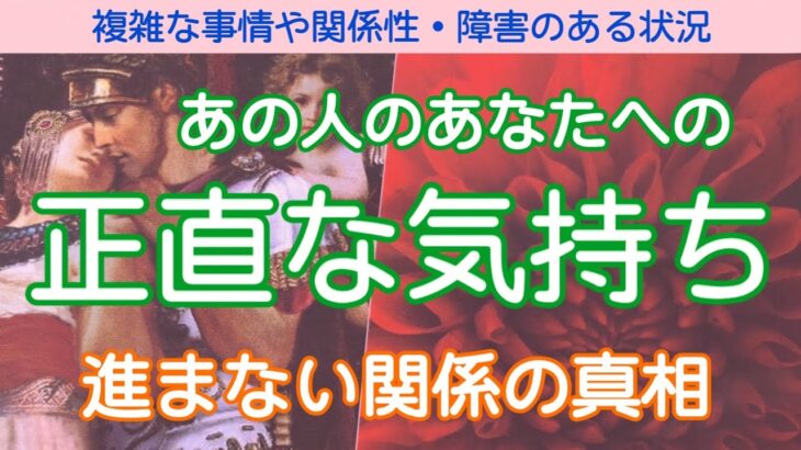 【厳しめです🙇‍♀️】あの人の正直な気持ち、進まない恋の真相は？【タロット占い・オラクルカードリーディング】